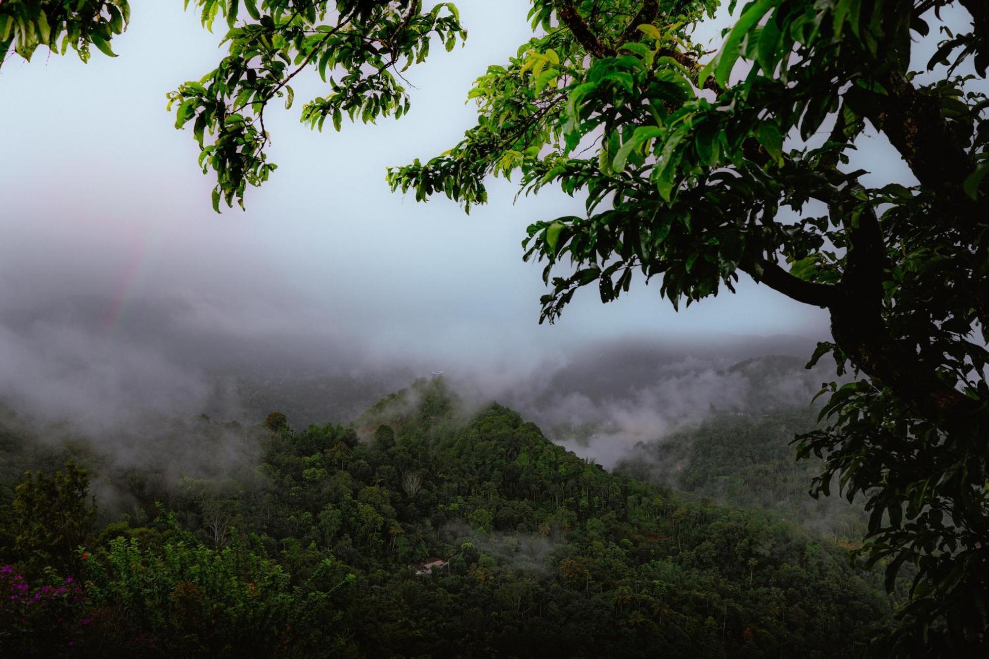 Haze&Kites Resort Munnar Exterior foto