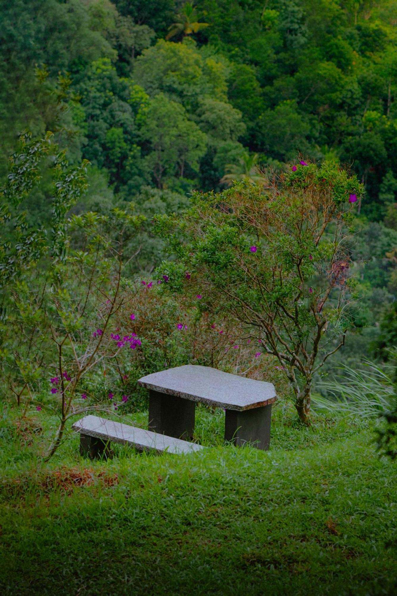 Haze&Kites Resort Munnar Exterior foto