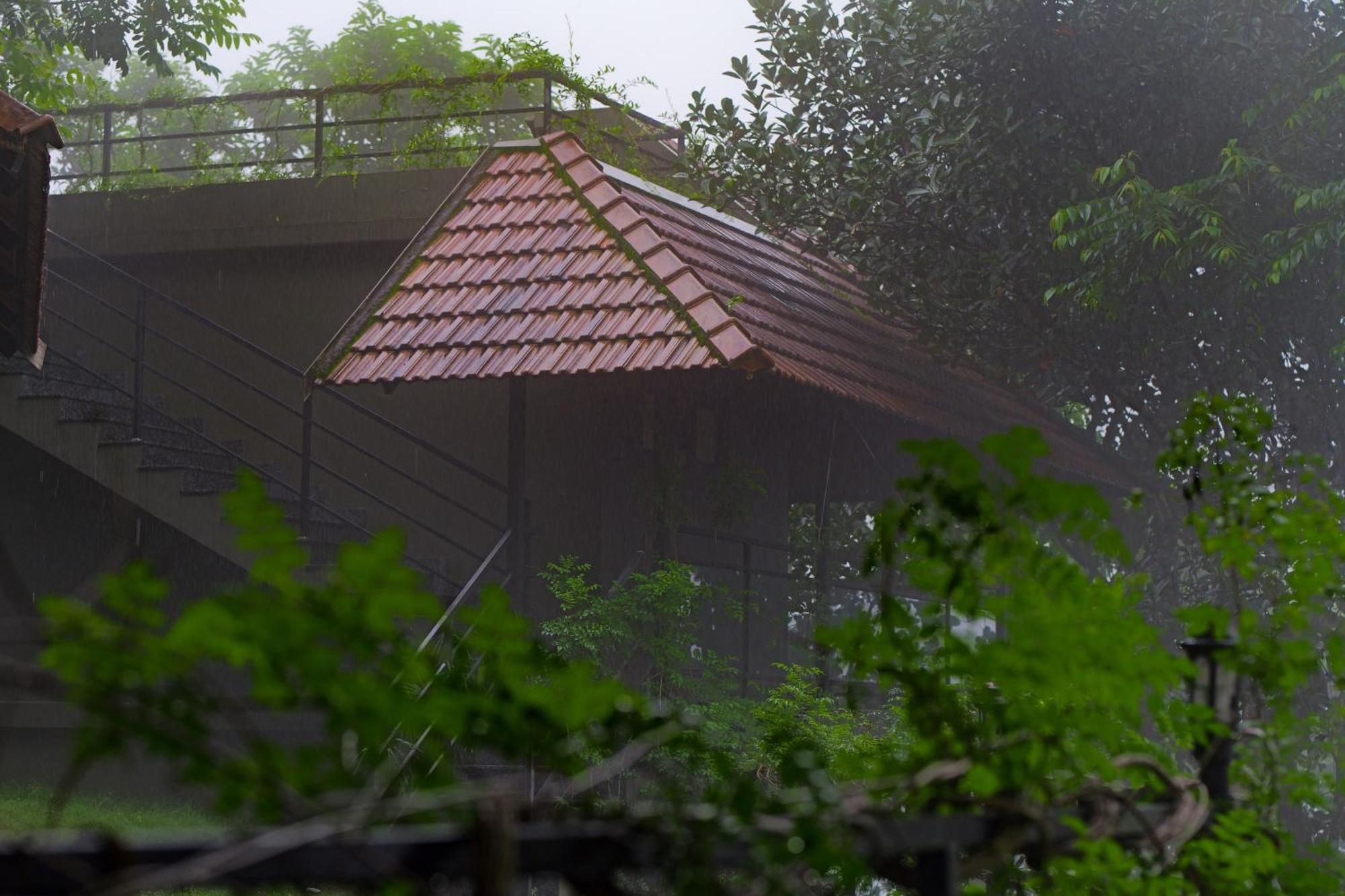 Haze&Kites Resort Munnar Exterior foto